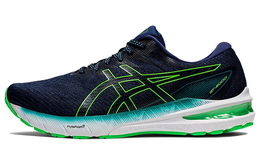 Мужские кроссовки Asics GT-2000 10 1011b185-405