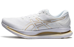 Мужские кроссовки Asics Glideride 1011a817-100