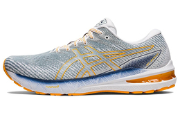 Мужские кроссовки Asics GT-2000 10 1011b185-404