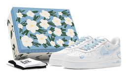 Мужские кроссовки для скейтбординга Nike Air Force 1 Low, цвет sky blue cw2288-111 | 天蓝色