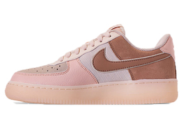 Женские кроссовки для скейтбординга Nike Air Force 1 Low 896185-603