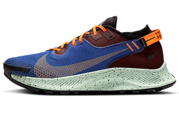 Мужские кроссовки для бега Nike Pegasus Trail 2 cu2016-600