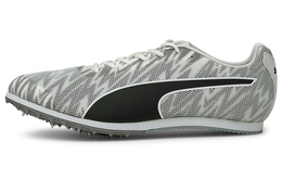 Кроссовки Puma Мужской 194478-01