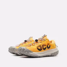Кроссовки Nike ACG Mountain Fly Low 2, размер 7.5US 40.5 EUR 25.5 CM, желтый 102593908058
