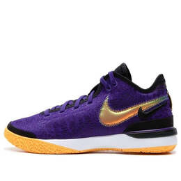 Кроссовки Nike Zoom LeBron NXXT 'Gen Lakers', фиолетовый dr8788-500 | court purple/light thistle heather/university gold/black