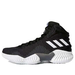 Кроссовки Adidas Pro Bounce 2018 'Black White', черный fw5746 | black/white