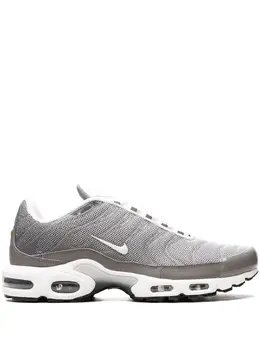 Nike Air Max Plus SE "Flat Pewter" sneakers 21511743