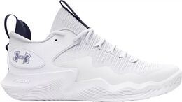 Женские волейбольные кроссовки Under Armour Flow Ace Low, белый/темно-синий 24uarwflwclwwhtnvftw | white/navy