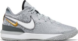 Nike Кроссовки Zoom LeBron NXXT Gen 'Wolf Grey', серый dr8784 004 | grey