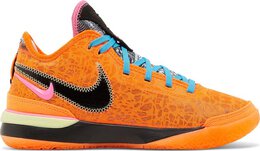 Nike Кроссовки Zoom LeBron NXXT Gen 'I Promise', разноцветный dr8784 900 | multi-color