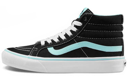 Женские кроссовки для скейтбординга Vans SK8 HI vn00018igzr