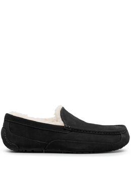 Ugg Ascot lace-up sneakers 20998757