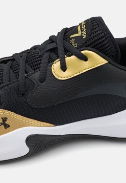 Баскетбольные кроссовки LOCKDOWN 7 Under Armour, черный un242a0mn-q11 | black/metallic gold