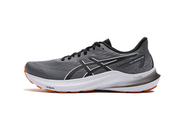 Кроссовки Asics GT-2000 12 Мужчины, Gray 1011b691-020 | gray
