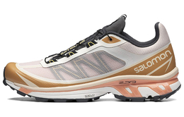 Кроссовки Salomon XT-6 FT Morganite Fenugreek 416205