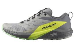 Salomon Кроссовки Sense Ride 5 'Grey' l47144200 | gray green