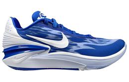 Мужские баскетбольные кроссовки Nike Air Zoom GT Cut 2 dx6650-400