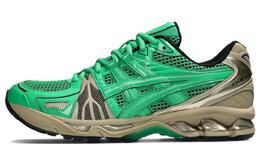 Asics Gel-Kayano Кроссовки Мужчины 1203a350-300