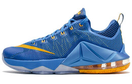 Мужские баскетбольные кроссовки Nike Lebron 12 724557-484