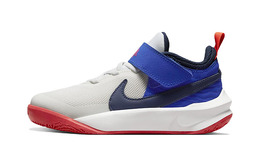 Детские баскетбольные кроссовки Nike Team Hustle D 10 PS cw6736-103