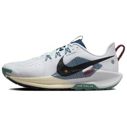 Кроссовки Nike Pegasus Trail 5 'Court Blue Cedar', синий dv3864-100 | blue/ashen slate/black/pale ivory/sesame