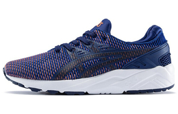 Кроссовки Asics Gel-Kayano Trainer Evo унисекс hn6d0-5109