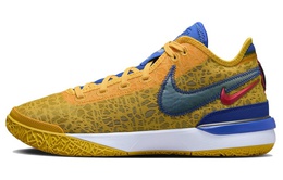 Кроссовки мужские Nike LeBron NXXT Gen баскетбольные, мультиколор dz2916-700
