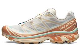 Кроссовки Salomon XT-6 Skyline Sun Baked 416298