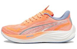Puma Кроссовки Мужчины, Orange 377748-07 | orange