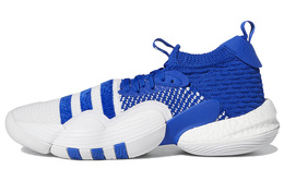 Кроссовки Adidas Trae Young 2.0 Royal Blue h03839