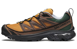 Кроссовки Salomon XT-6 Expanse '75th Anniversary - Golden Oak' 417053