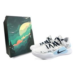 Баскетбольные кроссовки Hyperdunk X мужские с низким верхом, синие/черные Nike ar0465-100(team76-线条白狗s-box) | white