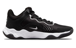 Мужские баскетбольные кроссовки Nike Fly By Mid 3 dd9311-003