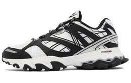 Кроссовки Reebok DMX Trail Shadow 'White Black' ef8819