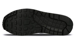 Женские кроссовки Nike Air Max 1 881101-005