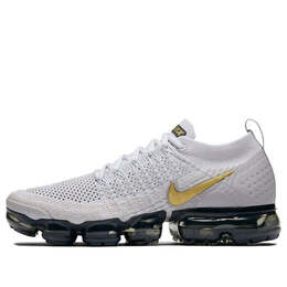 Кроссовки air vapormax 2 Nike, серый 942843-010 | vast grey/metallic gold-pure platinum