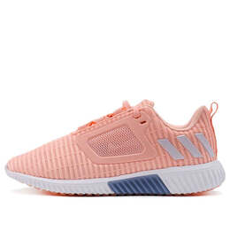 Кроссовки climacool cwpe розовые Adidas, розовый bb6558 | pink/blue