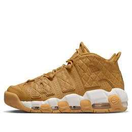Кроссовки более динамичные Nike, коричневый dx3375-700 | brown/white