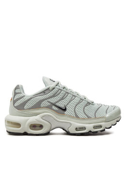 Кроссовки Nike Air Max, серый 282171 | gris