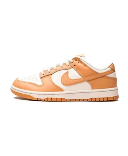 Кроссовки Dunk в стиле ретро Nike, оранжевый dd1503-114 | orange