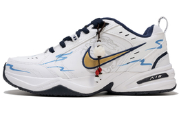 Массивные кроссовки Nike Air Monarch 4 унисекс, Sky Blue 415445-102(teamf-龙纹玉佩) | sky blue