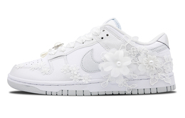 Женские кроссовки для скейтбординга Nike Dunk, Silver dh9765-102(team73-永恒女款) | silver