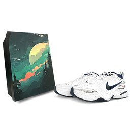 Кроссовки Nike Air Monarch 4 Chunky Sneakers Unisex Low-Top Black 415445-102(team76-水墨日出s-box)