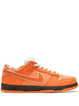 Кроссовки SB Dunk Low Concepts Orange Lobster Special Box Nike, оранжевый fd8776 | оранжевый
