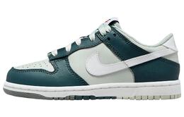 Женские кроссовки для скейтбординга Nike Dunk Low, Белый/Зеленый fb9109-300 | white/green