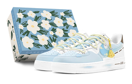 Женские кроссовки для скейтбординга Nike Air Force 1, Sky Blue dh2920-111(teams-芝士饼干女s-box) | sky blue
