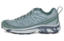 Кроссовки Salomon XT-6 Expanse Lily Pad Pewter, зеленый l47134200 | green