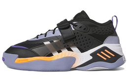 Кроссовки Adidas Streetball Lifestyle Unisex, черный/оранжевый/фиолетовый fz5811