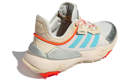 Женские походные кроссовки Adidas Terrex Hyperblue s42866
