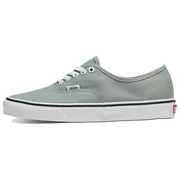 Кроссовки Vans Authentic 'Color Theory - Iceberg Green', зеленый vn000bw5cjl | green